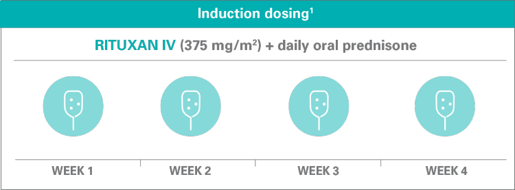 Induction dosing of RITUXAN® (rituximab) IV + daily oral prednisone